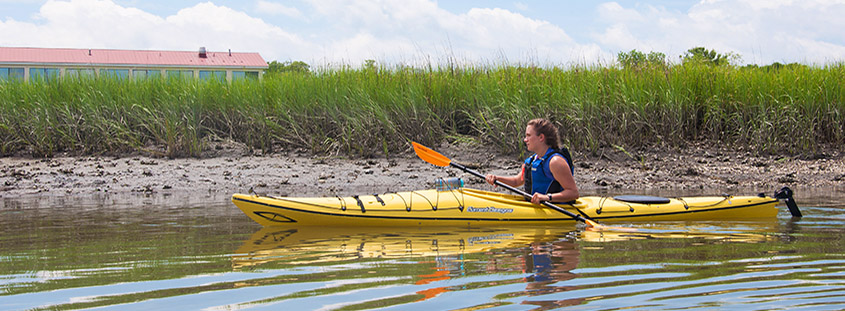 Kayaking Shem Creek with Coastal Expeditions