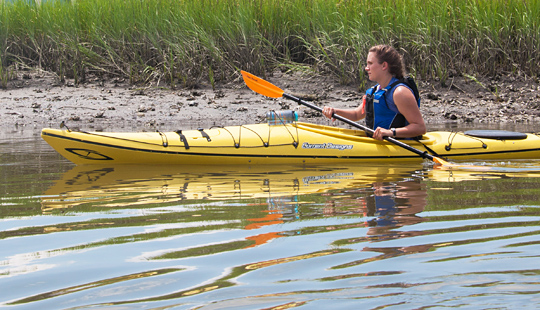 Coastal Expeditions welcomes furry friends on kayak tours as long as they can swim.