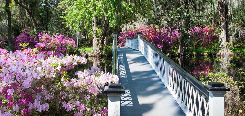 White Bridge Magnolia Plantation Charleston SC. © 2014 Audra L. Gibson. All Rights Reserved.