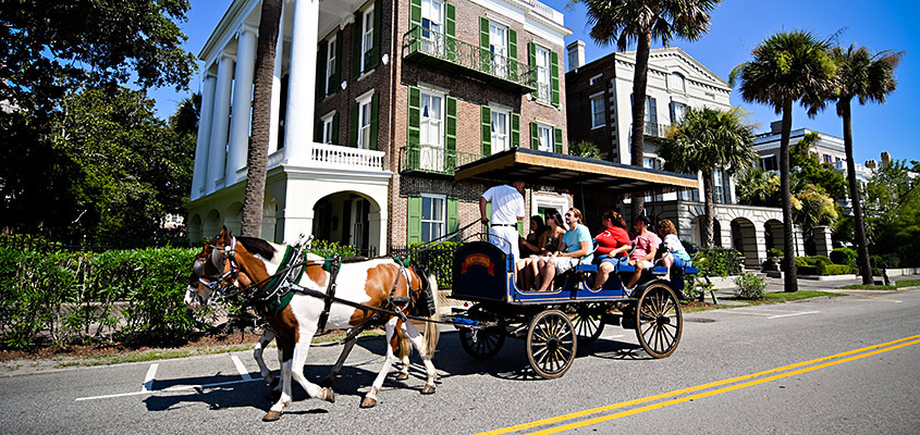 Palmetto Carriage Works group tour of downtown Charleston Battery