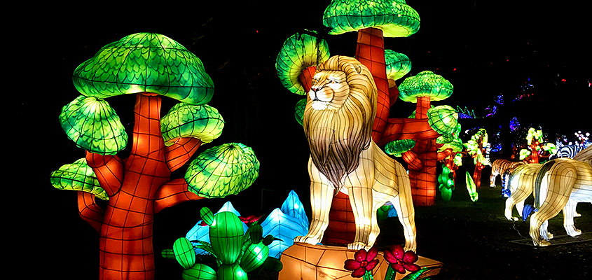 Lion Chinese Lantern Festival Charleston
