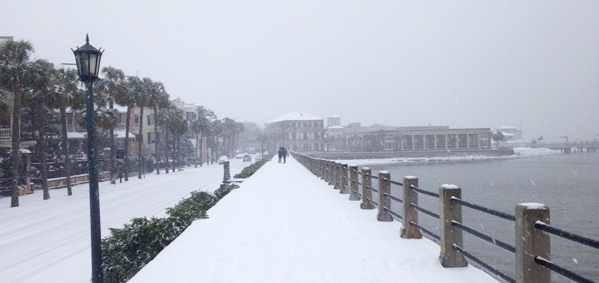 Snow on the Charleston Battery. © 2018 Lauren Boyd.