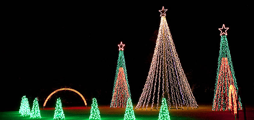 Charleston Festival of Lights Dancing Tree Display. Image courtesy of Charleston County Parks. All Rights reserved.