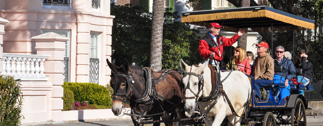 Palmetto Carriage Tours