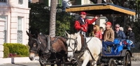 Guests tour The Battery by carriage.