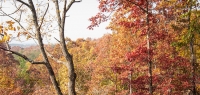 Fall in Blairsville