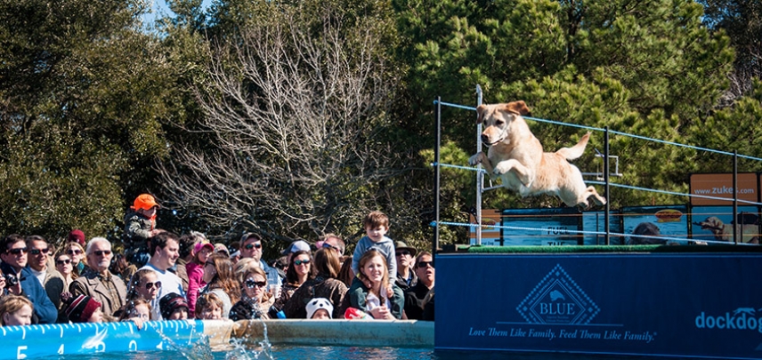 Taking the leap!