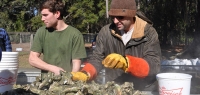 Prepping oysters from Holy City Seafood