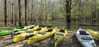 Preparing to put our kayaks in the water. 