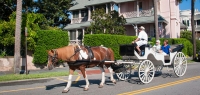 Visitors admire homes on the Battery while receiving a private carriage tour.