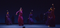 Maria Pagés and Company in Yo, Carmen