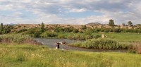 The edge of Noah's Ark property is an excellent Arkansas River entry point.