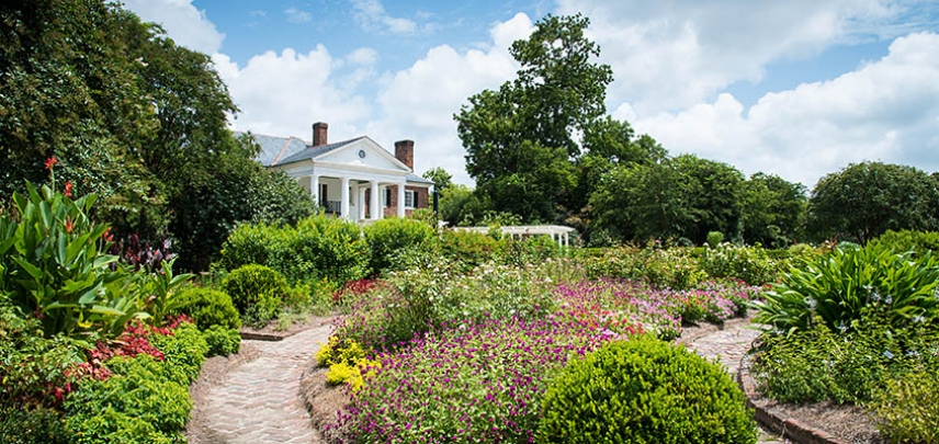 The Boone Hall Plantation house peaks out from behind the garden.